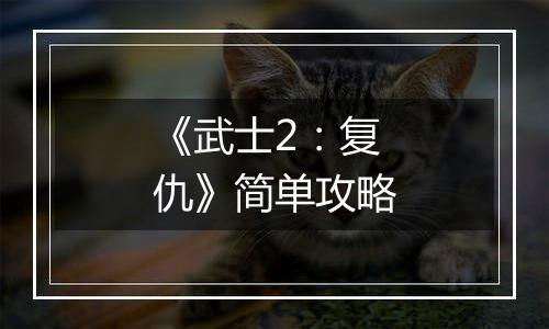 《武士2：复仇》简单攻略
