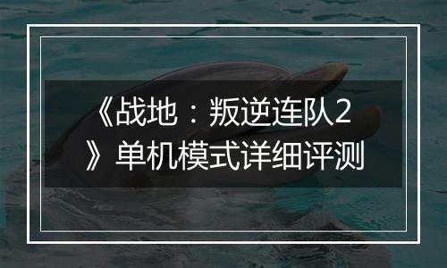 《战地：叛逆连队2》单机模式详细评测