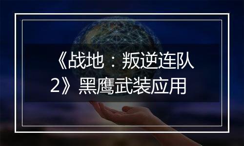 《战地：叛逆连队2》黑鹰武装应用