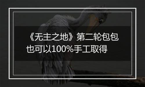 《无主之地》第二轮包包也可以100%手工取得