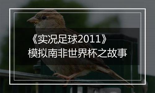 《实况足球2011》模拟南非世界杯之故事