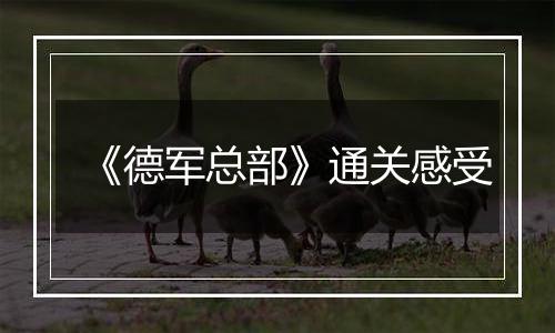 《德军总部》通关感受