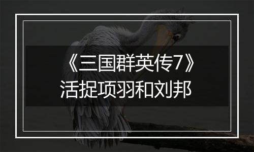 《三国群英传7》活捉项羽和刘邦