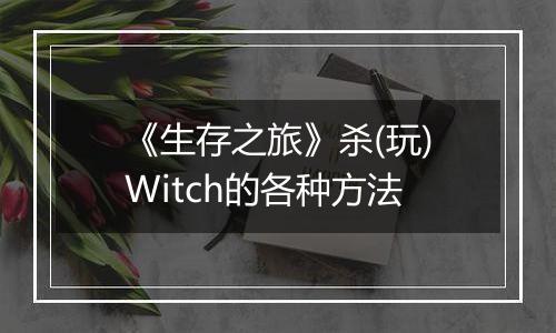 《生存之旅》杀(玩)Witch的各种方法