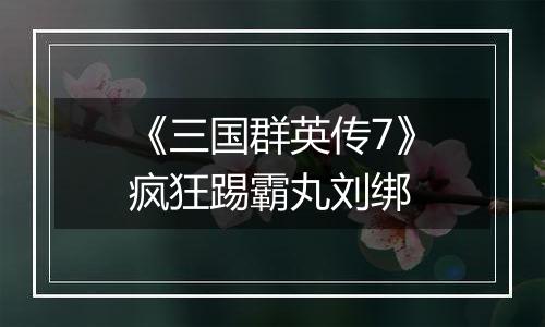 《三国群英传7》疯狂踢霸丸刘绑