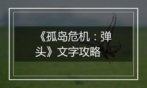 《孤岛危机：弹头》文字攻略