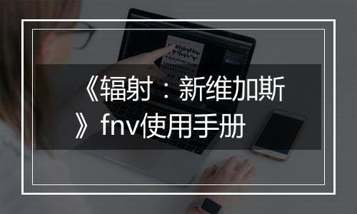 《辐射：新维加斯》fnv使用手册