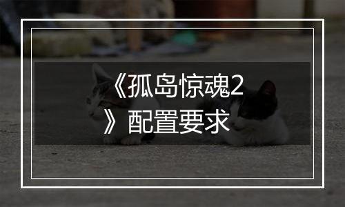 《孤岛惊魂2》配置要求