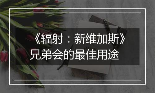 《辐射：新维加斯》兄弟会的最佳用途