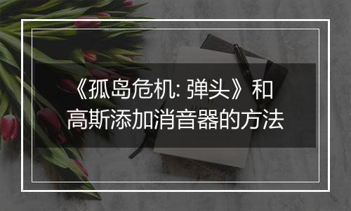 《孤岛危机: 弹头》和高斯添加消音器的方法