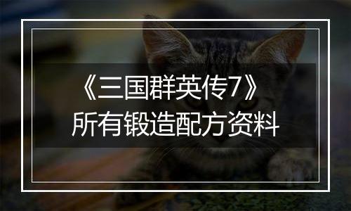 《三国群英传7》所有锻造配方资料
