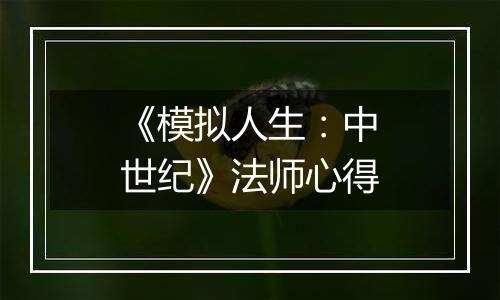 《模拟人生：中世纪》法师心得