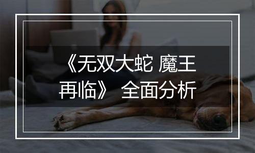 《无双大蛇 魔王再临》 全面分析