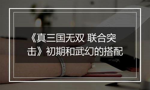 《真三国无双 联合突击》初期和武幻的搭配