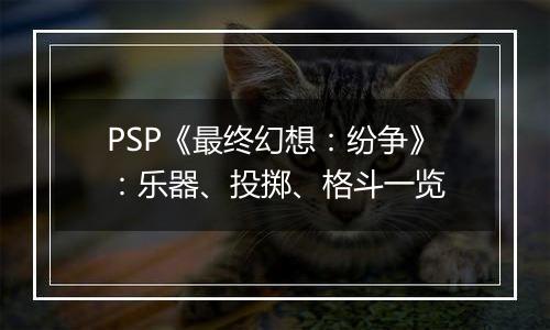 PSP《最终幻想：纷争》：乐器、投掷、格斗一览