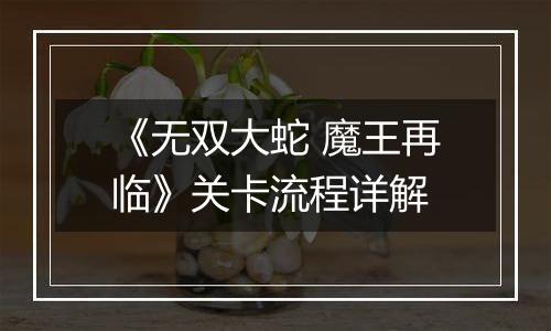 《无双大蛇 魔王再临》关卡流程详解