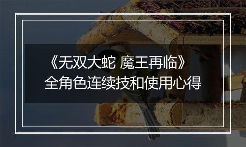 《无双大蛇 魔王再临》全角色连续技和使用心得