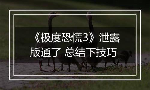 《极度恐慌3》泄露版通了 总结下技巧