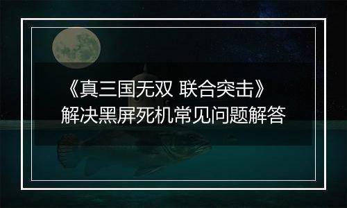 《真三国无双 联合突击》解决黑屏死机常见问题解答