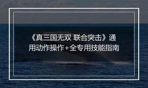 《真三国无双 联合突击》通用动作操作+全专用技能指南