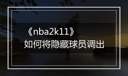 《nba2k11》如何将隐藏球员调出