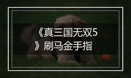 《真三国无双5》刷马金手指