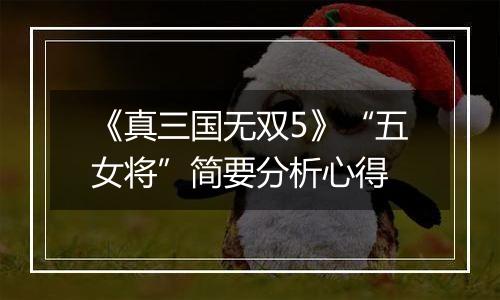 《真三国无双5》“五女将”简要分析心得