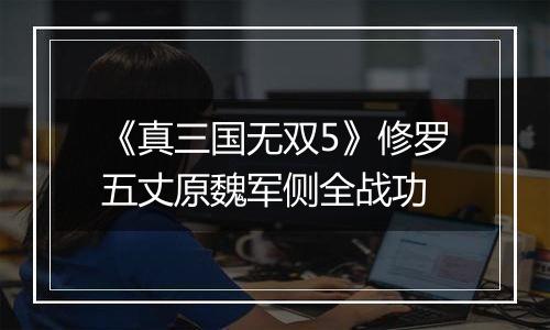 《真三国无双5》修罗五丈原魏军侧全战功