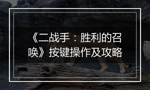 《二战手：胜利的召唤》按键操作及攻略