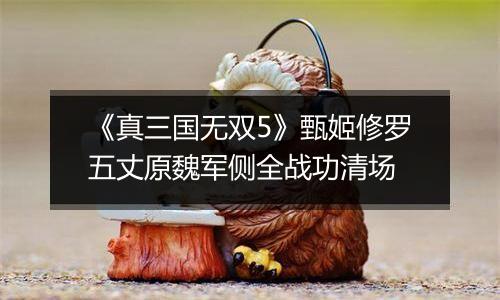 《真三国无双5》甄姬修罗五丈原魏军侧全战功清场