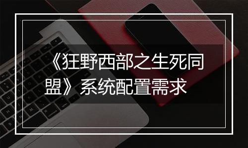 《狂野西部之生死同盟》系统配置需求