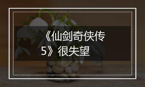 《仙剑奇侠传5》很失望