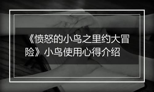 《愤怒的小鸟之里约大冒险》小鸟使用心得介绍