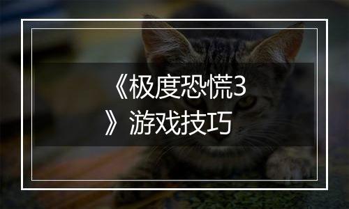 《极度恐慌3》游戏技巧