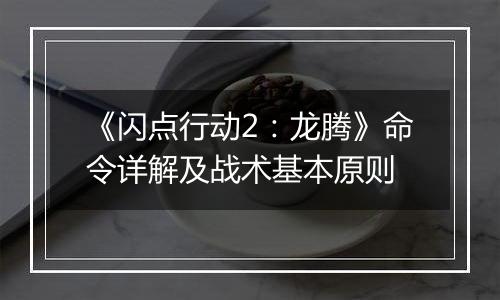 《闪点行动2：龙腾》命令详解及战术基本原则