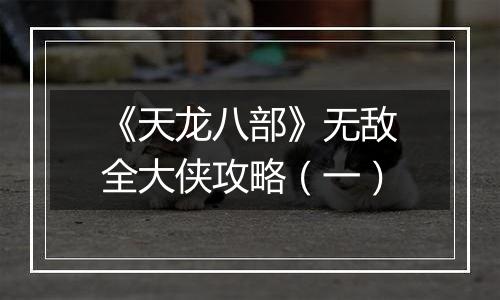 《天龙八部》无敌全大侠攻略（一）