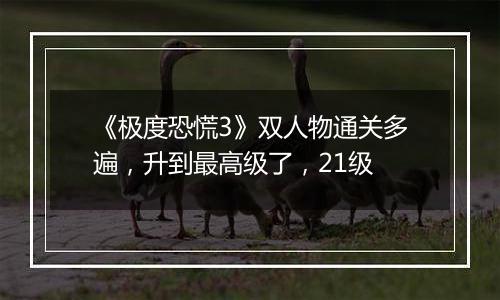 《极度恐慌3》双人物通关多遍，升到最高级了，21级