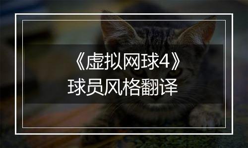 《虚拟网球4》球员风格翻译