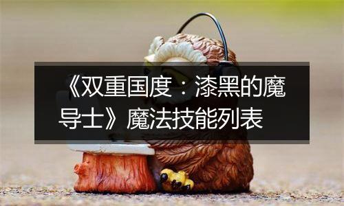 《双重国度：漆黑的魔导士》魔法技能列表