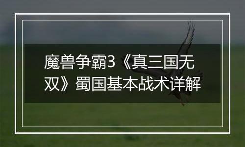 魔兽争霸3《真三国无双》蜀国基本战术详解