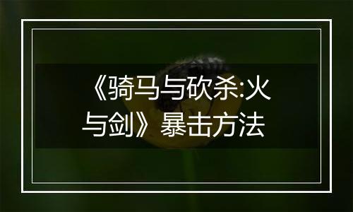 《骑马与砍杀:火与剑》暴击方法