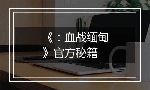 《：血战缅甸》官方秘籍