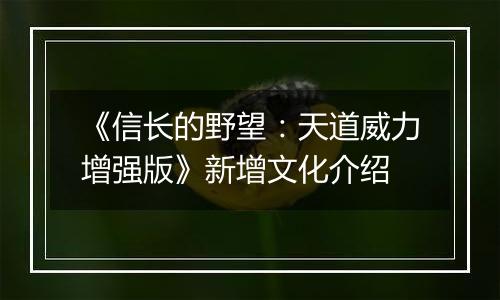 《信长的野望：天道威力增强版》新增文化介绍