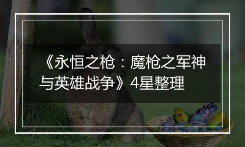 《永恒之枪：魔枪之军神与英雄战争》4星整理