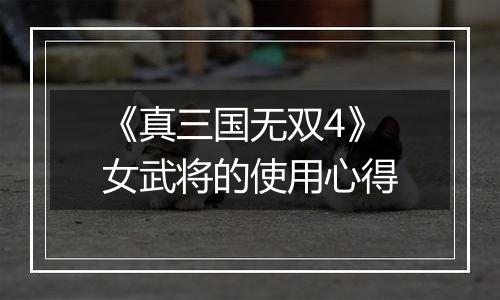 《真三国无双4》女武将的使用心得