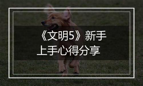 《文明5》新手上手心得分享