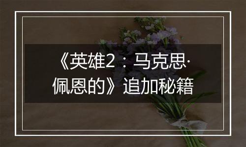 《英雄2：马克思·佩恩的》追加秘籍