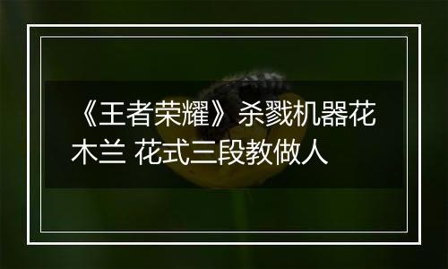 《王者荣耀》杀戮机器花木兰 花式三段教做人
