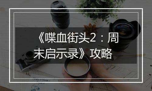 《喋血街头2：周末启示录》攻略