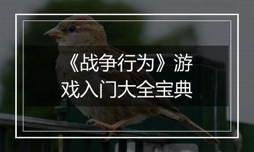 《战争行为》游戏入门大全宝典